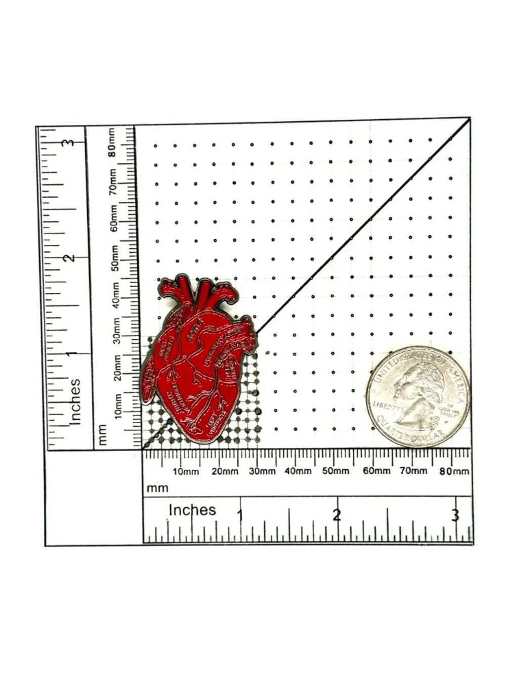❤️Anatomical Human Heart Enamel Pin Brooch Red Heart Organ Lapel Anatomy Art❤️
